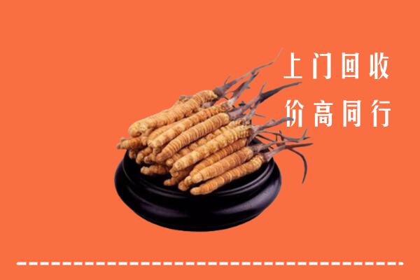 高价求购：华龙区回收散虫草
