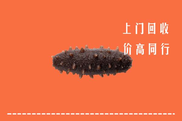 高价求购：华龙区回收海参