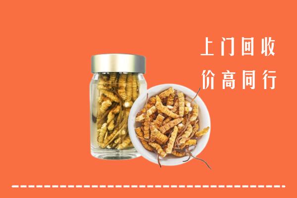 华龙区回收冬虫夏草
