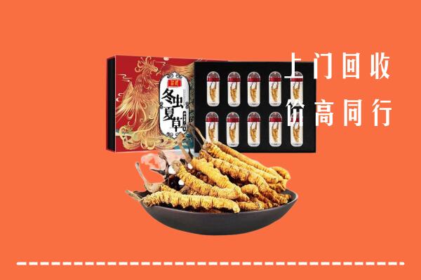 华龙区回收虫草